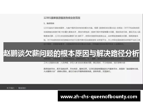 赵鹏谈欠薪问题的根本原因与解决路径分析