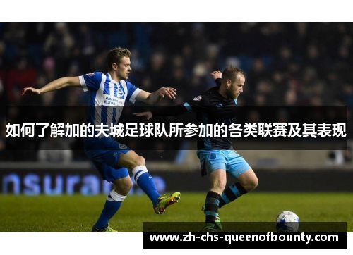 如何了解加的夫城足球队所参加的各类联赛及其表现