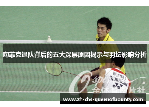 陶菲克退队背后的五大深层原因揭示与羽坛影响分析
