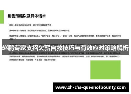 赵鹏专家支招欠薪自救技巧与有效应对策略解析