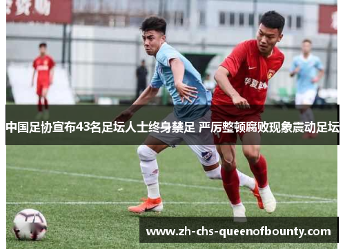 中国足协宣布43名足坛人士终身禁足 严厉整顿腐败现象震动足坛